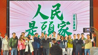 綠大罷免高雄宣講 轟刪預算