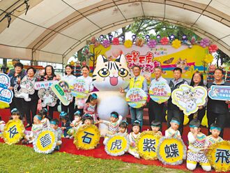 雲林 石虎量增 林內打造淺山生態系