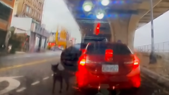 狠心主人紅燈趕下牠就落跑！台中狗狗「奔跑追車」 畫面引爆全網怒火