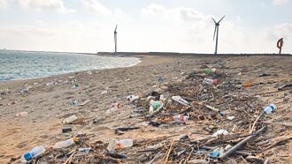 養殖業者：還有哪裡的牡蠣可吃？