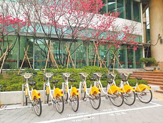 租借台中YouBike 4月1日起須填投保調查