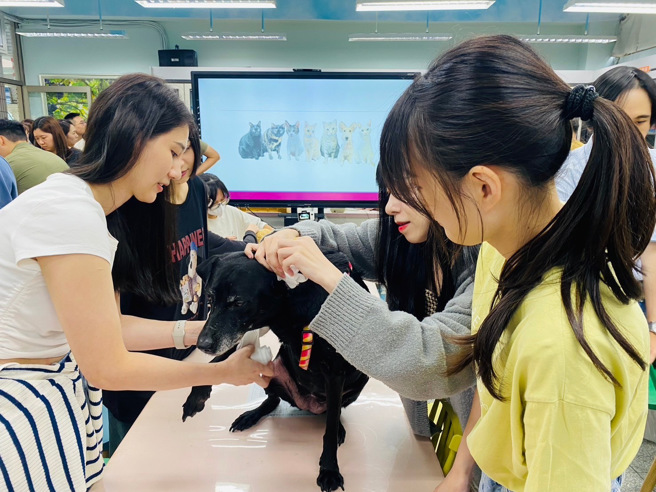 第四届兽医助理学分班四月中开始报名。(仁德医专提供)