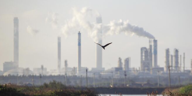 图／本报资料照片