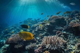 澳洲昆旅局偕JCIM 在台舉辦首場獎勵旅遊培訓會 強化推廣盼打造企業活動首選目的地