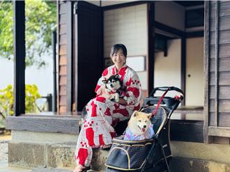 淡水寵物友善新措施！古蹟博物館天天開放寵物入館