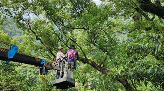 「野生植物」救援與收容 助受脅物種永續發展