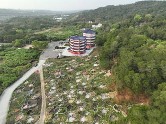 清明逢雙春青蛇年！4生肖掃墓要挑時段 5類人勿上墳