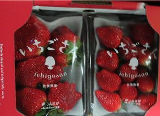 日本草莓、仙贝、米饼都出包！食药署边境拦下