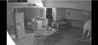 澎湖偷兒反鑑識  實驗衣當「闖空門」工作服