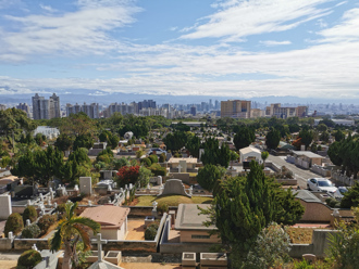 清明扫墓须知！7情况需择日 4生肖小心冲煞方位