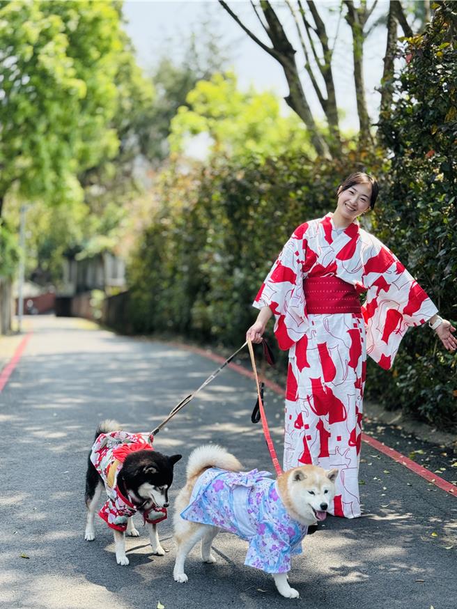 配合宠物友善政策，淡古加码宠物浴衣体验，让饲主跟毛小孩可以一起穿上浴衣拍照。（淡水古蹟博物馆提供）