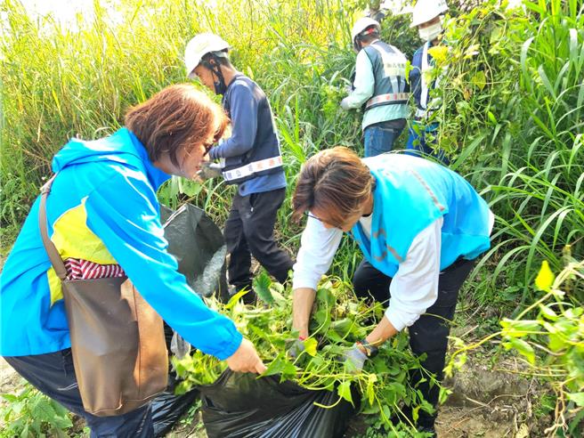 崇光社区大学的志工们相互合作清除小花蔓泽兰。（新北市高滩处提供）
