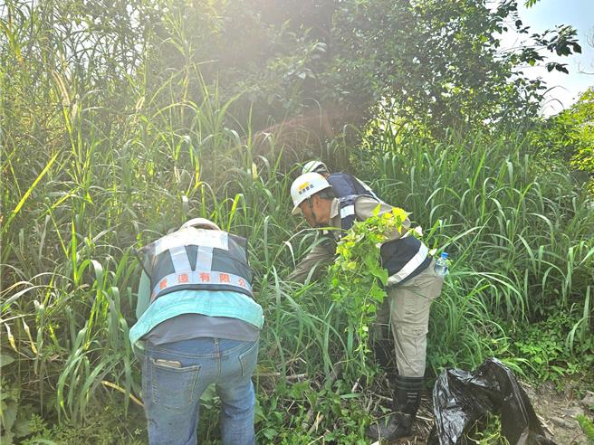 高滩处与崇光社区大学相互配合执行除蔓行动。（新北市高滩处提供）