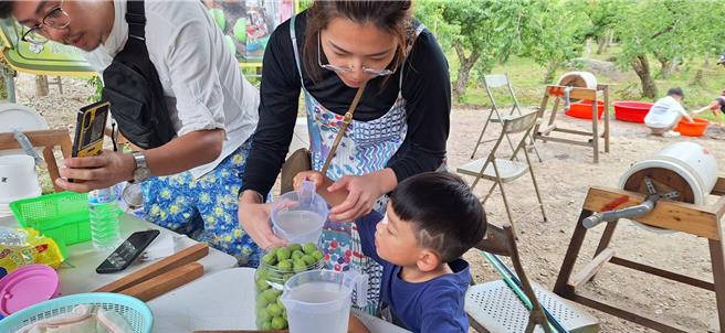 民眾参与梅子DIY体验，包括手採梅子、做梅酒及梅酱等。（林雅惠摄）