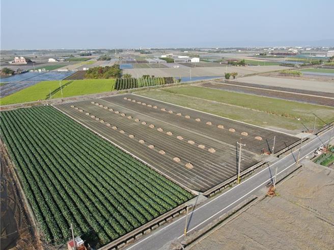 彰化县今年共有4593笔土地、144栋建物逾期未办继承登记，县府从4月1日起公告至6月30日，并提醒民眾，尽速办理继承登记。（彰化县政府提供／叶静美彰化传真）