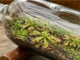 兒童Fun連假！墾丁、雙流森林園區推出親子活動