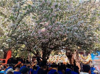 海峽兩岸孔子文化春會開幕 500餘台灣嘉賓共襄盛舉