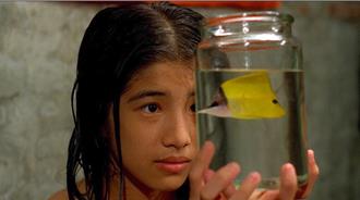 金馬奇幻影展發布尋人啟事 陳玉勳召喚《熱帶魚》主角齊現身