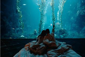 夜宿屏東海生館春季活動 名字有「這些字」享9折優惠