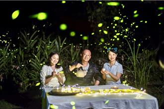 南投生態藝廊活動登場 賞螢、品茗走讀濁水溪