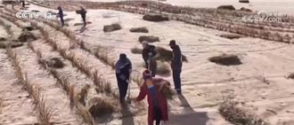 陸超長期特別國債支持   上兆資金不斷刷新「兩重」建設