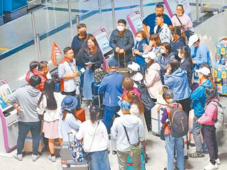 觀光業進加護病房 觀光署還在抓瞎