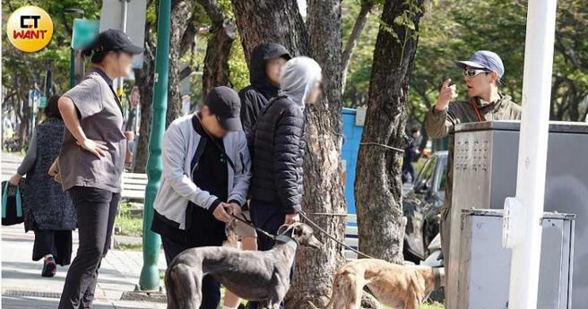 彭于晏與媽媽、姊姊、家中長輩及高個妹等紅綠燈要帶毛孩放風跑步。（圖／本刊攝影組）