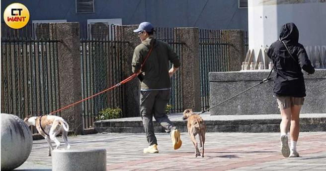 彭于晏和高個妹在前面遛狗慢跑，媽媽和姊姊在後方慢慢走。（圖／本刊攝影組）