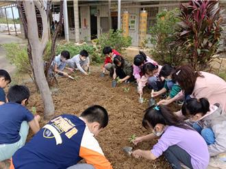 桃園育仁國小食農教育 學子「種菜獻愛心」助弱勢
