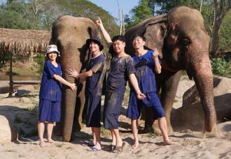 女星在泰國幫大象洗澡 雙腿「腫到變形滲血」