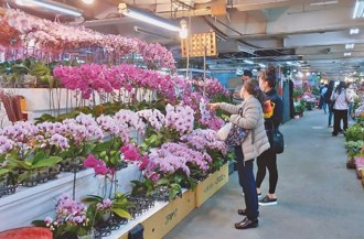 美對台加徵關稅衝擊農業 學者：比較競爭國關稅是關鍵