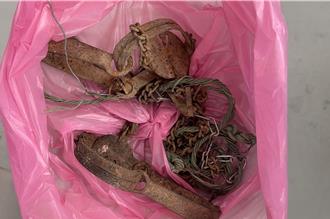 苗栗山區獸鋏陷阱成動物夢魘 動保所嚴查最高罰200萬