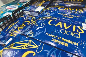 宏都拉斯蝦崩盤 盼返台灣市場