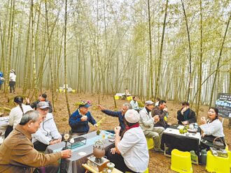 南投 濁水溪生態藝廊 螢光閃耀