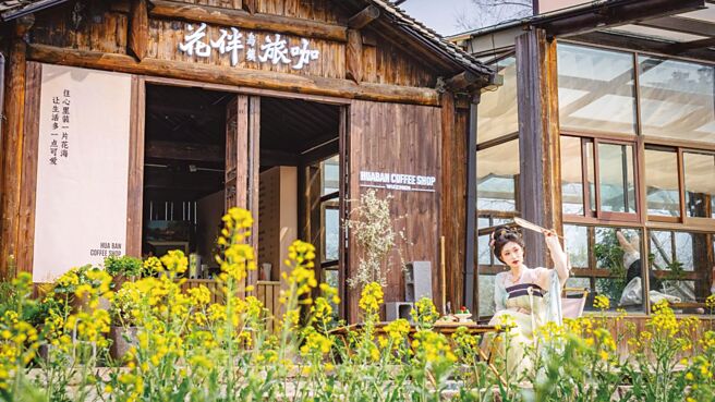 春暖花开在乌镇感受鸟语花香。（方伟光摄）