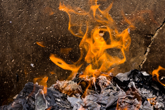 清明不平靜 凶星「室火豬」發威  5星座最幸運