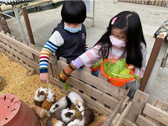 親子連假好去處！新北休閒農場優惠放送 打卡闖關拿好禮