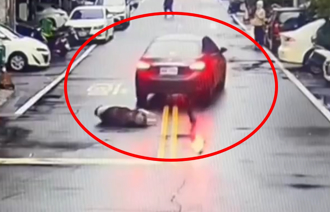 撞擊畫面曝！轎車「鬼切大西瓜」輾斃明星豬妞妞 網：換成人也是死