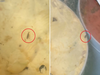 火锅店冰淇淋惊见「小强冻尸」噁爆 店家致歉了