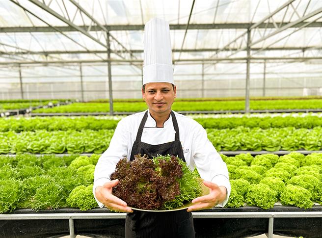 Akbeer Singh主厨特採产地直送的新鲜温室生菜，制作一系列以印度香料为搭配的印度蔬果沙拉。（图／台南远东香格里拉）