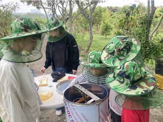 連假來「嘉」甜蜜初體驗 邀民走進蜂箱品現採蜂蜜