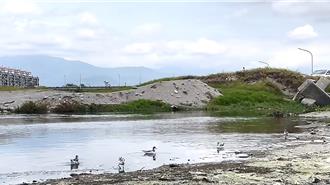 取景拍候鸟全是垃圾 台东儿童之家带60人出动净滩