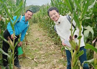 嘉縣水上「玉米迷宮」嗨翻兒童節 4／6表揚模範生、送福袋