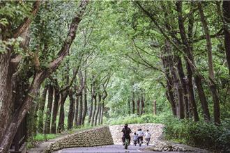 台灣好行888路線推解謎遊戲 「鐵馬騎豐傳」暢玩豐原、后里