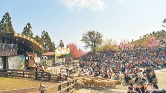 看綿羊衝樂園 中投觀光湧人潮