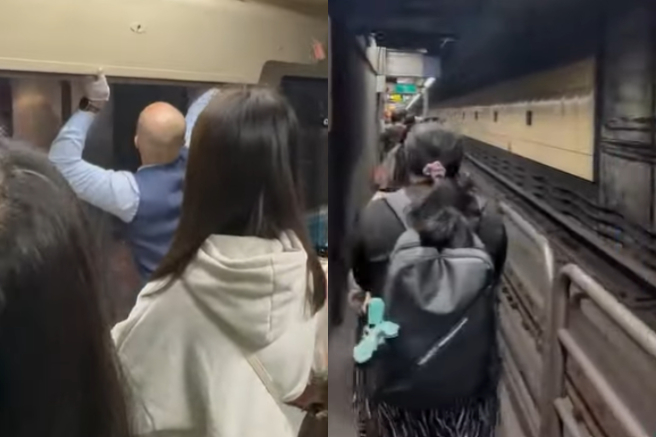 北捷板南线因民眾落轨意外，採取亚东医院站至江子翠站单线双向营运。（合成图／网友提供）