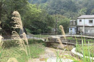 新北市平溪「觀音巖步道」風華重現 走進歷史生態之美