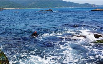 東北角春季限定美景 石花菜彩繪海岸地毯