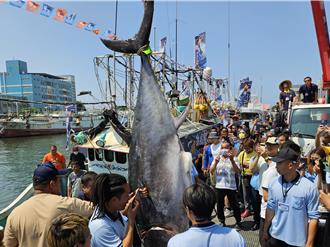 今年屏東第一鮪出現了！壽星船長捕獲210公斤公魚