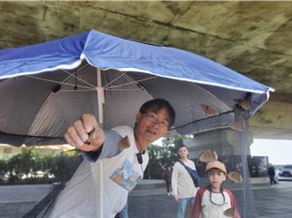 紫斑蝶遷徙今年創2紀錄：最早遷、最少封道日